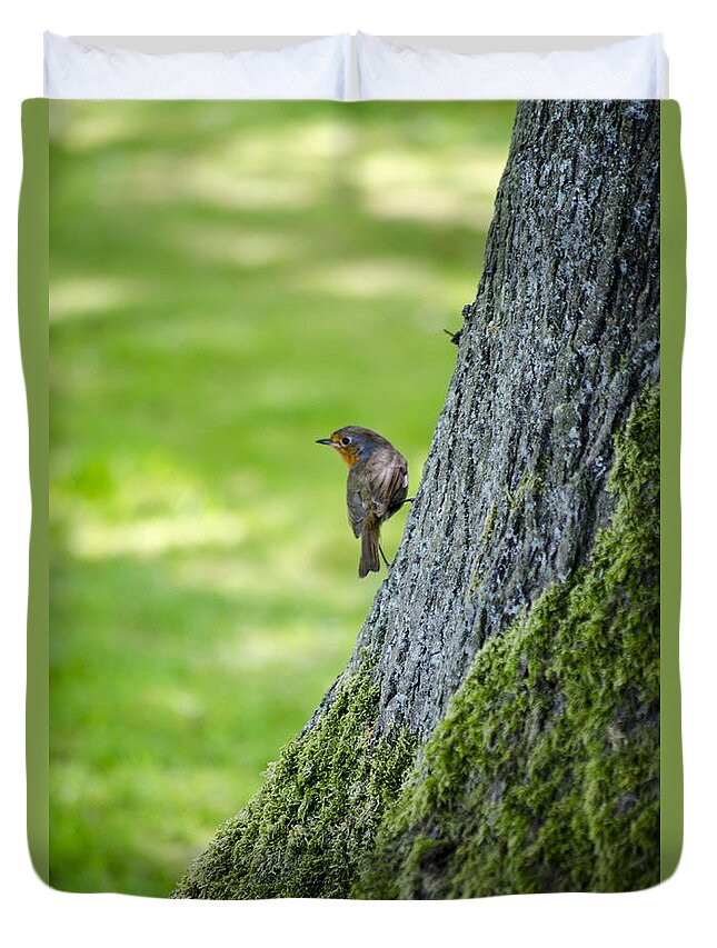 Garden Duvet Cover featuring the photograph Robin At Rest by Spikey Mouse Photography