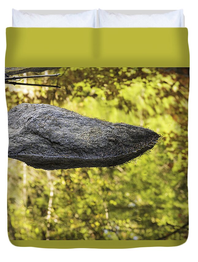 Reflections; Trees; Water; Rocks; Creek; Stream; Autumn; Colorful; Adirondack Mountains; New York; Gold; Color Images; Color Photo; Color Photograph; Color Pictures; Format 2:3; Aspect Ratio 2:3; Horizontal Format; Orientation Landscape Duvet Cover featuring the photograph 20130926-063 Rock in Golden Pool 2x3 by Alan Tonnesen