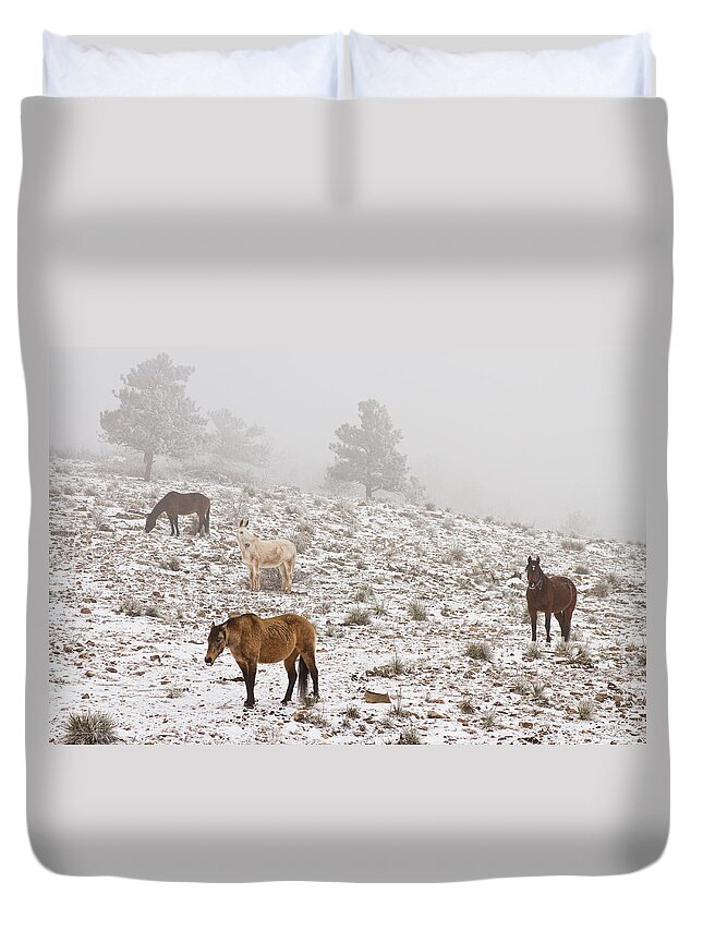 Horses Duvet Cover featuring the photograph Rocky Mountain Horses Snow and Fog by James BO Insogna