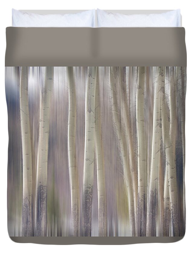 Surreal Duvet Cover featuring the photograph Rocky Mountain Winter Aspen Tree Forest Dream by James BO Insogna