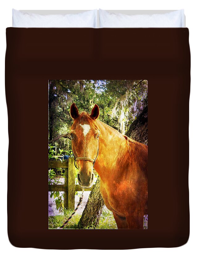 Horse Duvet Cover featuring the photograph Romeo by Judy Hall-Folde