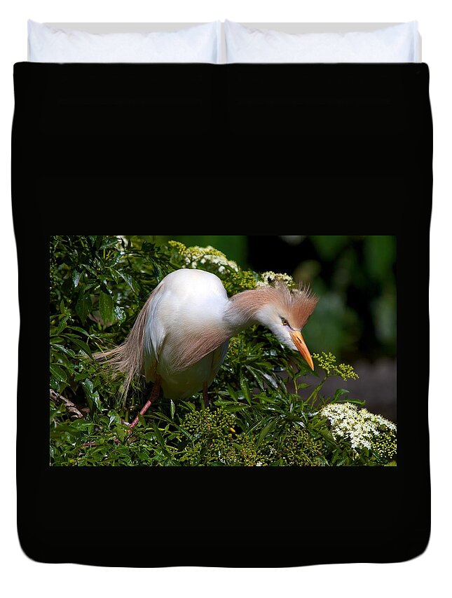 Wildbird Rookery Duvet Cover featuring the photograph Rookery 21 by David Beebe