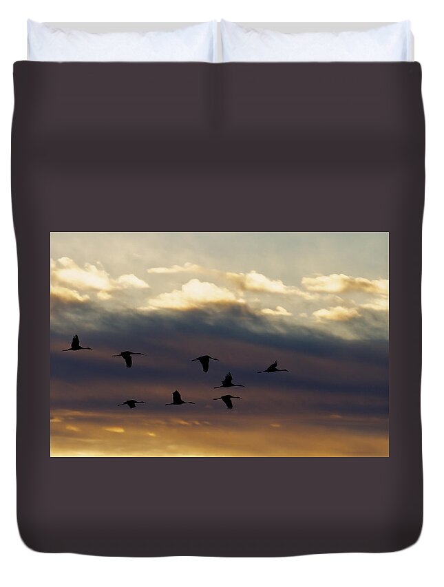 Animals Duvet Cover featuring the photograph Roosting Time by Jack R Perry