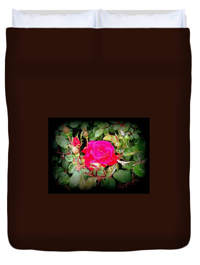 Rose Duvet Cover featuring the photograph Rose Garden Centerpiece by Pamela Hyde Wilson
