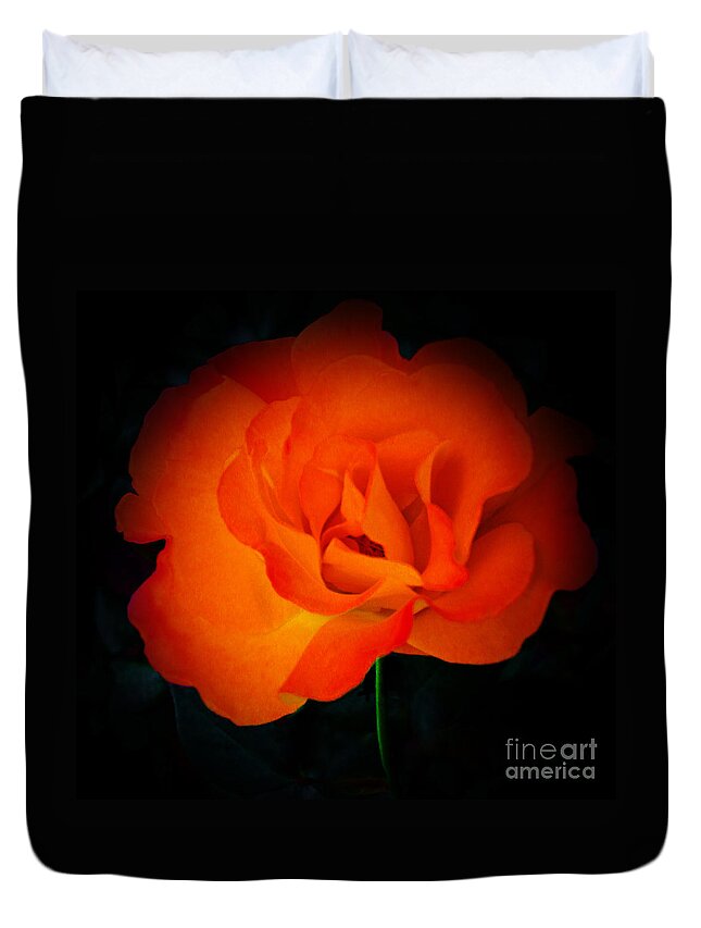 Orange Duvet Cover featuring the photograph Rose of Passion by Elizabeth Winter