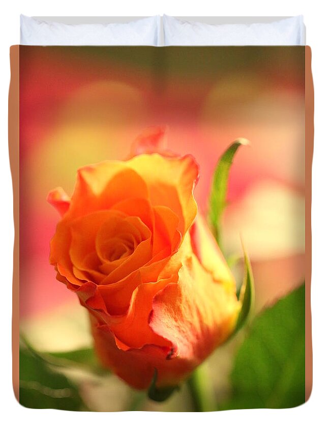 Background Duvet Cover featuring the photograph Rose on pink background II by Amanda Mohler