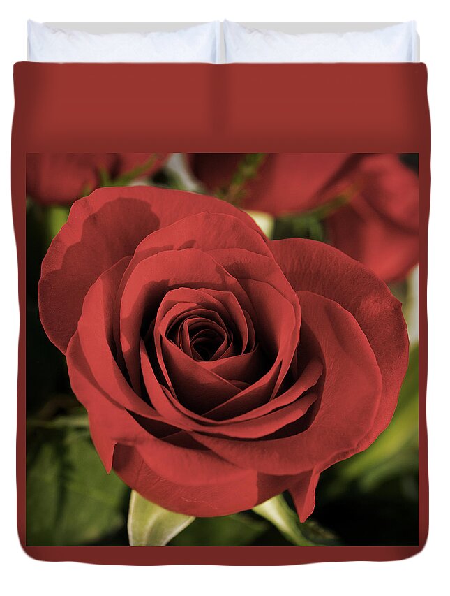 Rose Duvet Cover featuring the photograph Rose by Photographic Arts And Design Studio