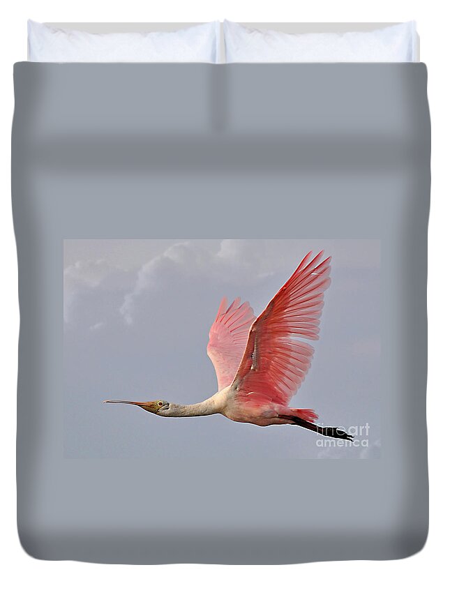 Birds Duvet Cover featuring the photograph Roseate Spoonbill In Flight by Kathy Baccari