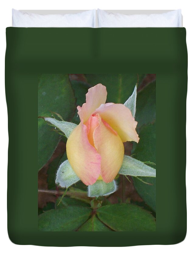 Rose Bud Just Starting To Open Up. Duvet Cover featuring the photograph Rosebud by Belinda Lee