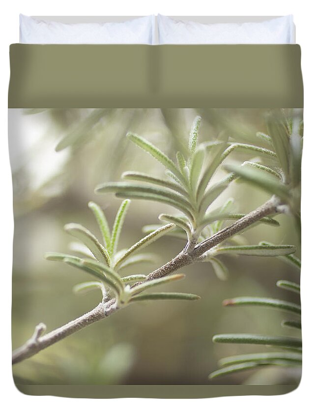 Tranquility Duvet Cover featuring the photograph Rosemary Herb Plant by Edward Olive - Fine Art Photographer