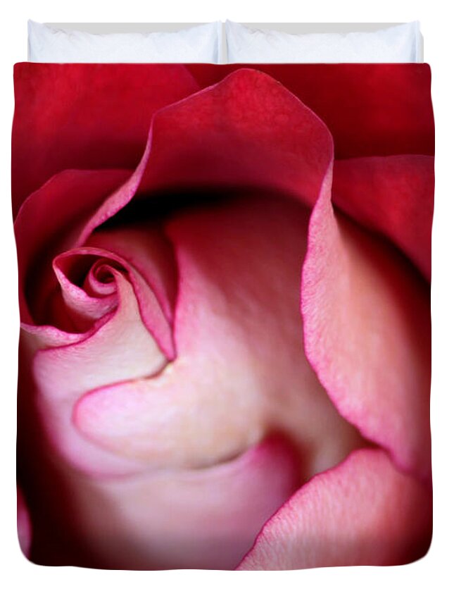 Macro Duvet Cover featuring the photograph Rosy Rose by Sabrina L Ryan