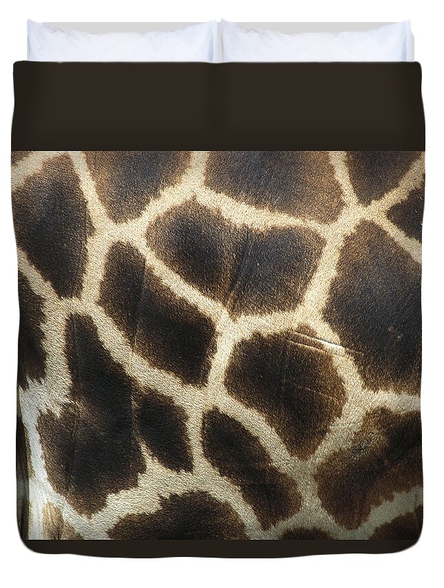 Zssd Duvet Cover featuring the photograph Rothschild Giraffe Detail by Zssd