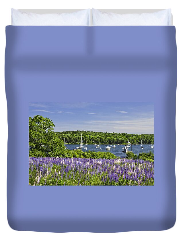 Maine Duvet Cover featuring the photograph Round Pond Lupine Flowers on The Coast Of Maine by Keith Webber Jr