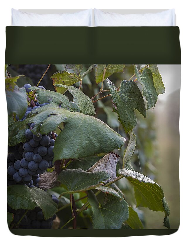 Virginia Duvet Cover featuring the photograph Rows of Grapes by Amber Kresge
