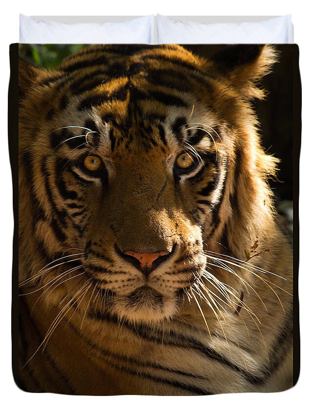 Tiger Duvet Cover featuring the photograph Royalty by SAURAVphoto Online Store