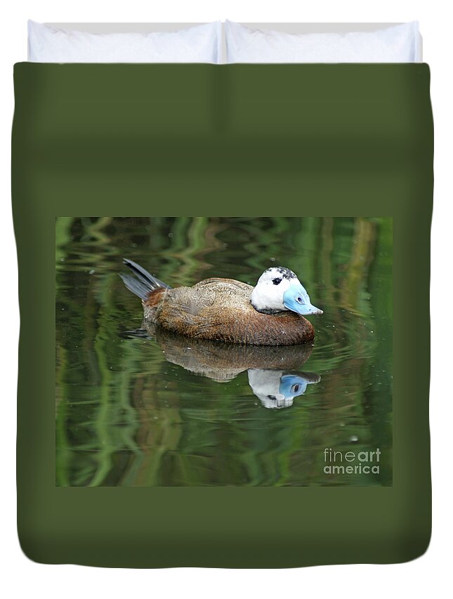 Ruddy Duck Duvet Cover featuring the photograph Ruddy Duck by David Birchall
