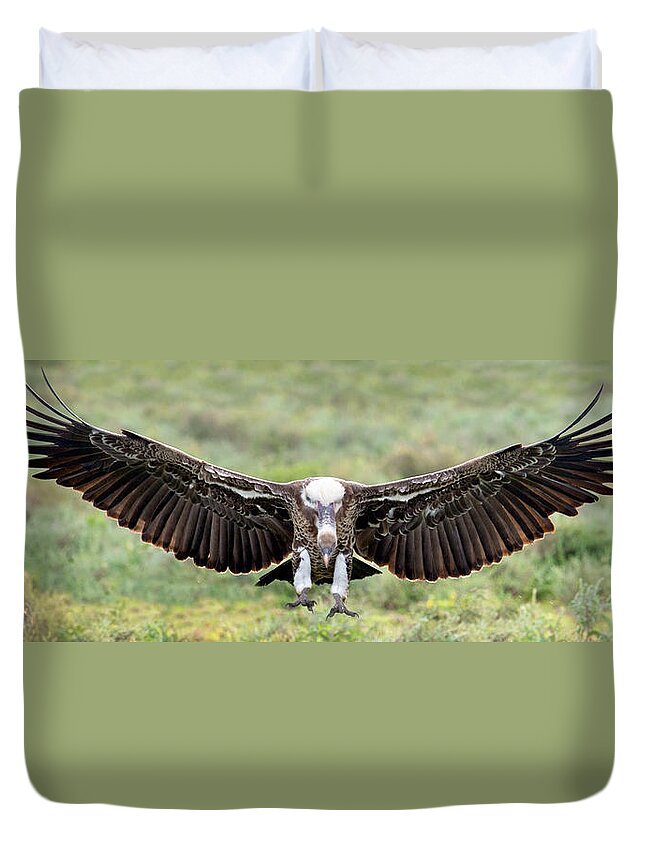 Photography Duvet Cover featuring the photograph Ruppells Griffon Vulture Gyps by Panoramic Images