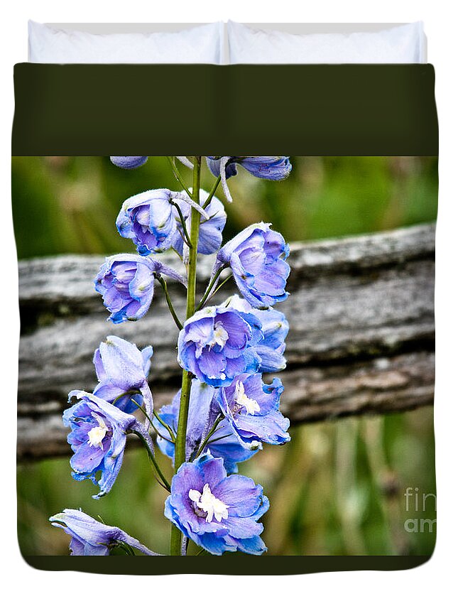  Duvet Cover featuring the photograph Rustic Delphinium by Cheryl Baxter