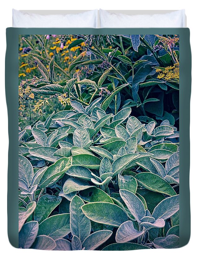 Sage Leaf Duvet Cover featuring the photograph Sage in the Garden by Michelle Calkins