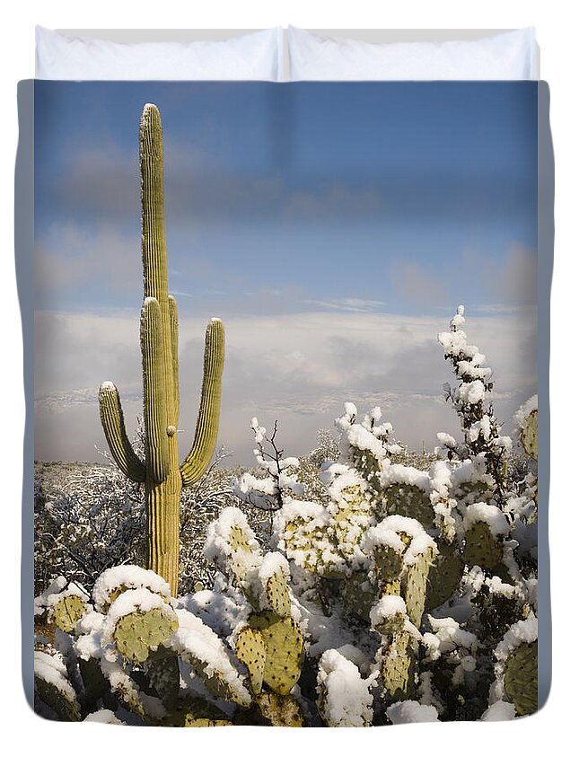Feb0514 Duvet Cover featuring the photograph Saguaro Cactus In Snow Saguaro Np by Tom Vezo