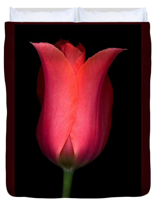 Beauty Duvet Cover featuring the photograph Salmon Tulip by Oscar Gutierrez