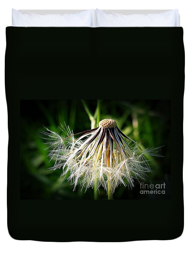 Composite Duvet Cover featuring the photograph Salsify by Judi Bagwell