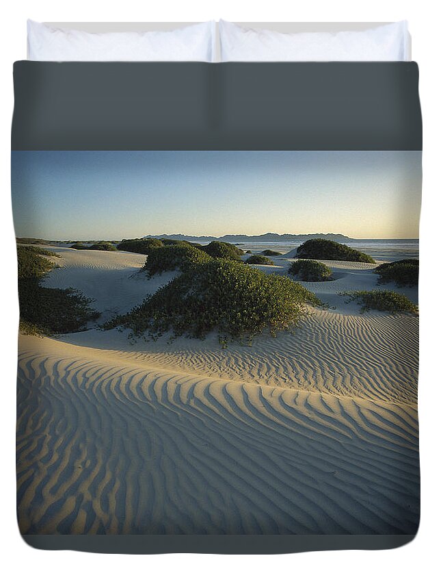 Feb0514 Duvet Cover featuring the photograph Sand Dunes Magdalena Island Baja by Tui De Roy