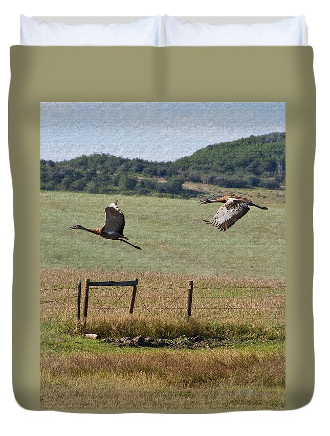  Duvet Cover featuring the photograph Sand Hill Lift Off by Daniel Hebard