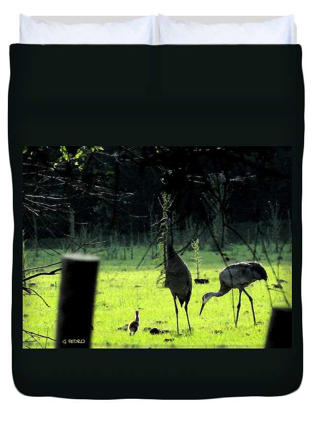 Sandhill Duvet Cover featuring the painting Sandhill Cranes and the First Chick of Spring by George Pedro
