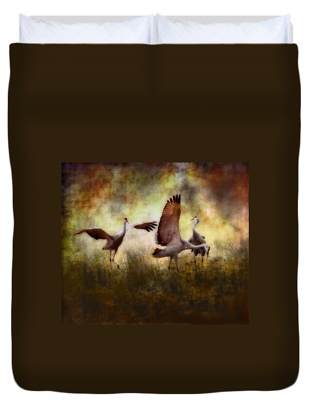 Wildlife Duvet Cover featuring the photograph Sandhill Cranes by Ellen Heaverlo