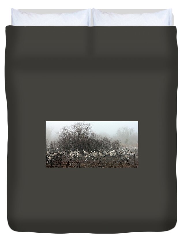 Sandhill Duvet Cover featuring the photograph Sandhill Cranes in the Fog by Farol Tomson