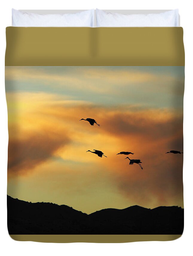 Birds Duvet Cover featuring the photograph Sandhill Cranes return in late afternoon at Bosque del Apache wi by Alan Vance Ley