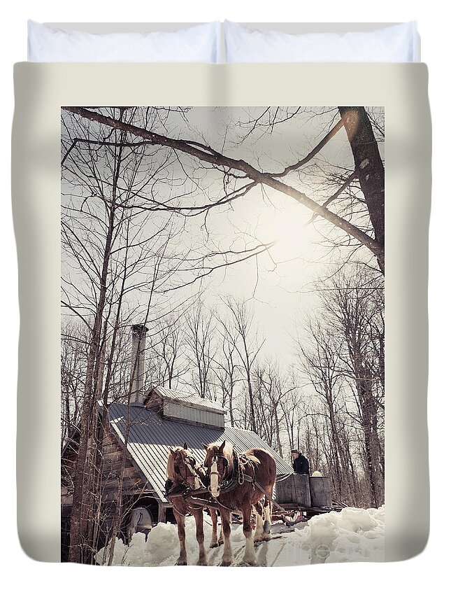 Maple Syrup Duvet Cover featuring the photograph Sap Collection by Cheryl Baxter