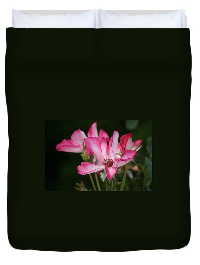 Roses Duvet Cover featuring the photograph Saying Goodbye To Summer by Living Color Photography Lorraine Lynch
