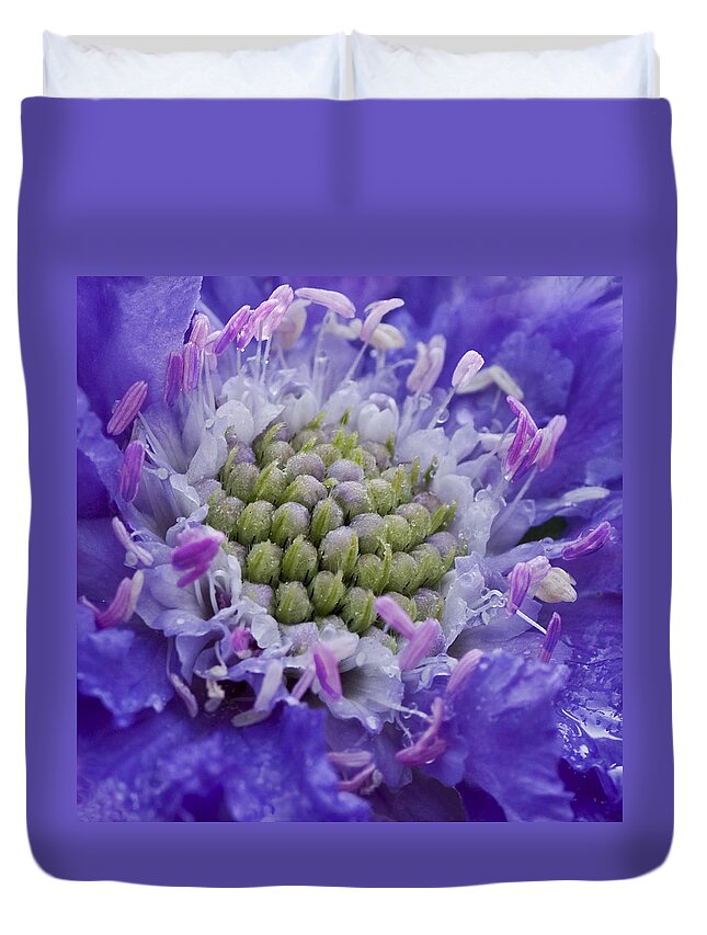 Scabiosa Print Duvet Cover featuring the photograph Scabiosa by Diane Fifield