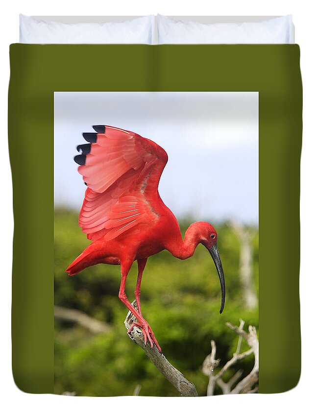 Scarlet Ibis Duvet Cover featuring the photograph Scarlet Ibis by M. Watson