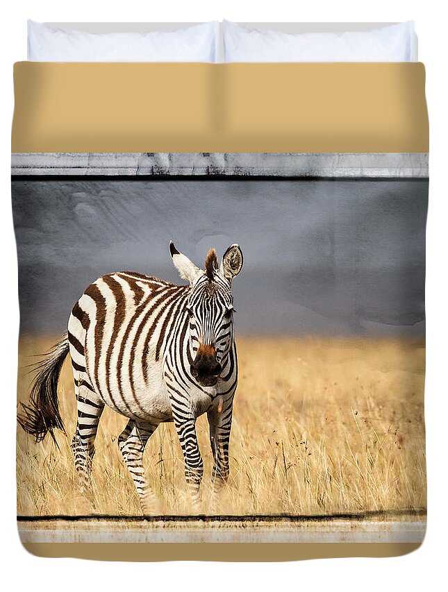 Africa Duvet Cover featuring the photograph Scratched tin zebra by Mike Gaudaur