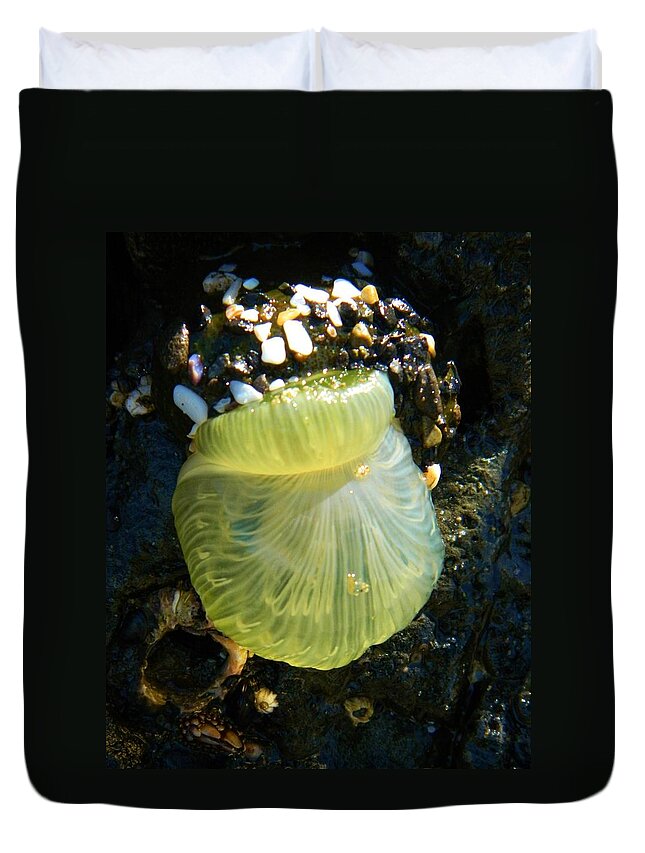 Ocean Life Duvet Cover featuring the photograph Sea Anemone with Beautiful Jelly by Gallery Of Hope 