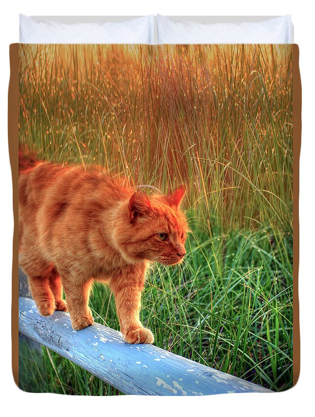 Cats Duvet Cover featuring the photograph Sea Grass Tabby Cat by Brenda Giasson