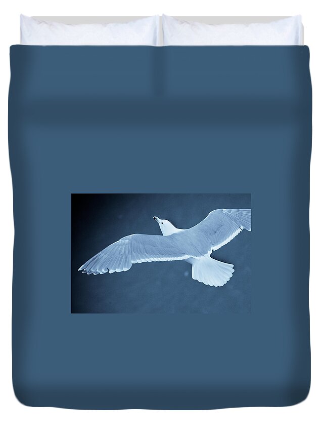 Sea Gull Duvet Cover featuring the photograph Sea Gull Over Icy Water by John Magyar Photography