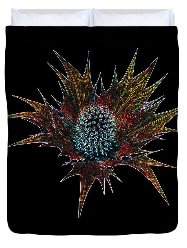 Photo Duvet Cover featuring the photograph Sea Holly No.1 by Tony Mills