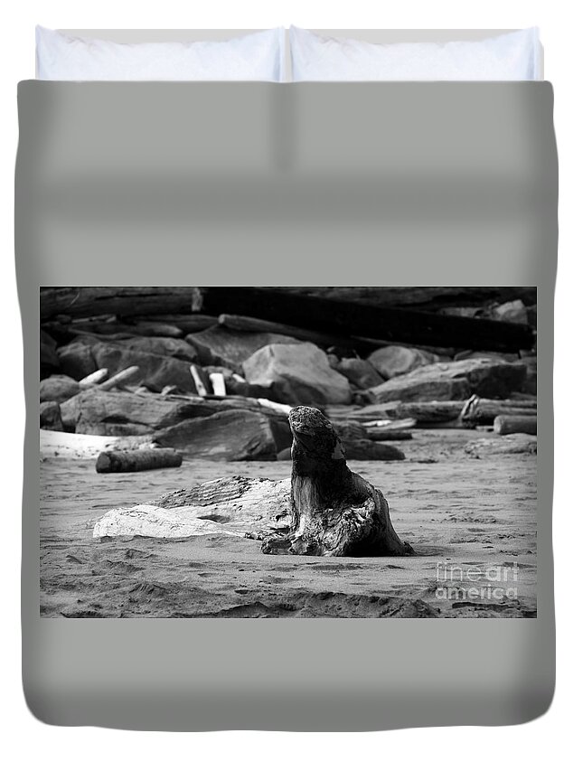Beaches Duvet Cover featuring the photograph Sea Lion or Driftwood by Kathy McClure