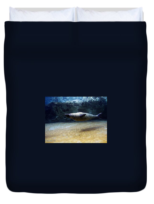 Sea Lion Duvet Cover featuring the photograph Sea Lion Swimming Upsidedown by Verana Stark