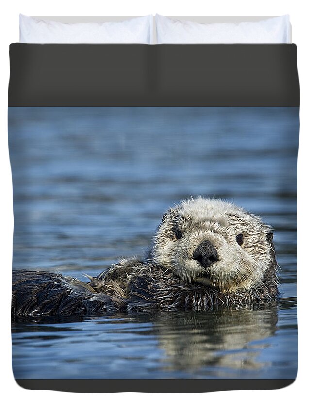 Michael Quinton Duvet Cover featuring the photograph Sea Otter Alaska by Michael Quinton
