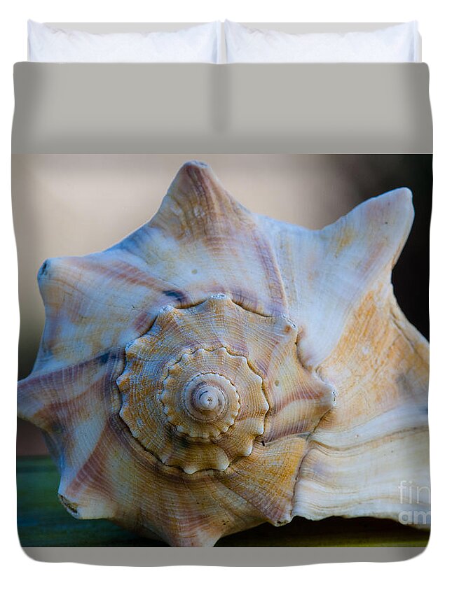 Sea Shell Duvet Cover featuring the photograph Sea Shell by Dale Powell