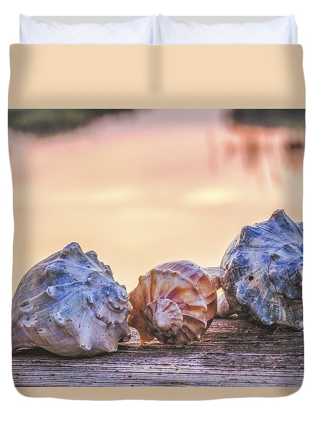 Shell Duvet Cover featuring the photograph Sea Shells Image Art by Jo Ann Tomaselli