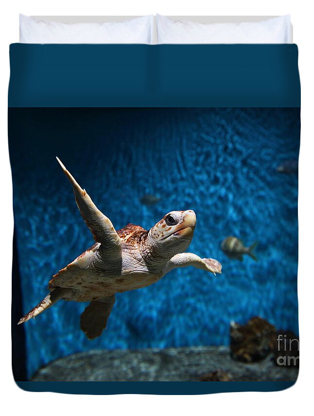 Fish Duvet Cover featuring the photograph Sea Turtle 5D25085 by Wingsdomain Art and Photography