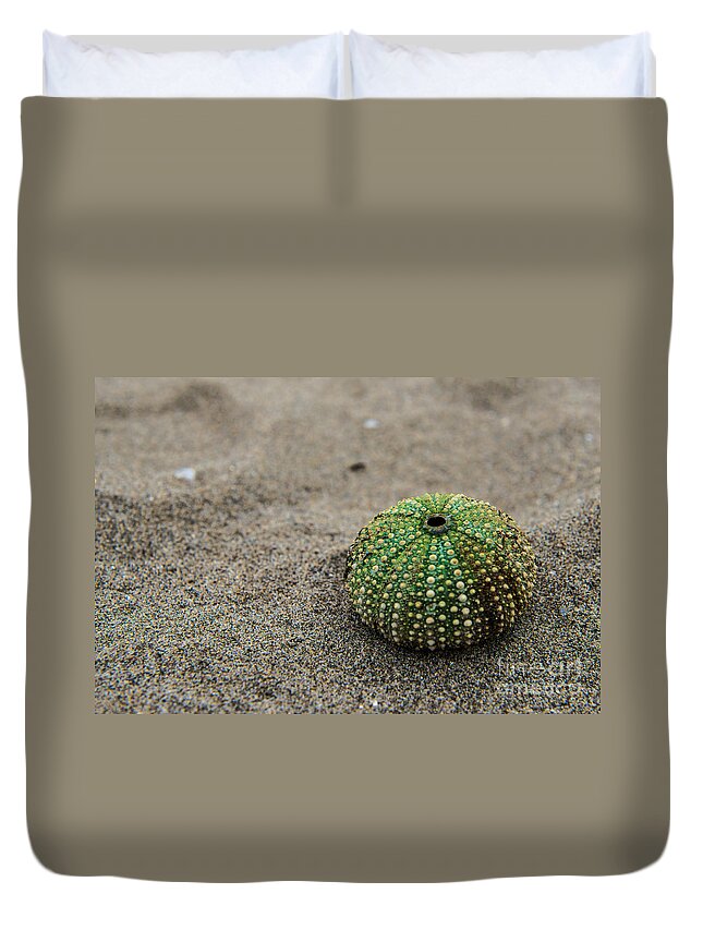 Friaul-julisch Venetien Duvet Cover featuring the photograph Sea Urchin by Hannes Cmarits