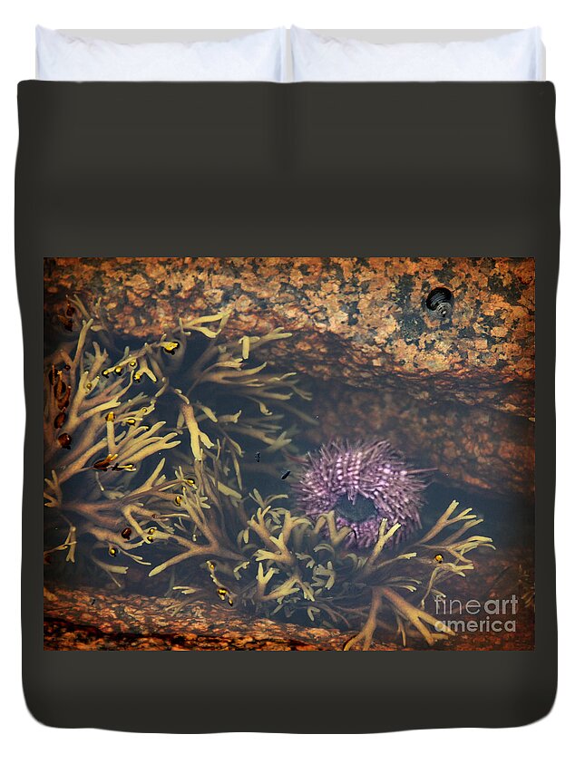 Sea Urchin Duvet Cover featuring the photograph Sea Urchin by Jemmy Archer
