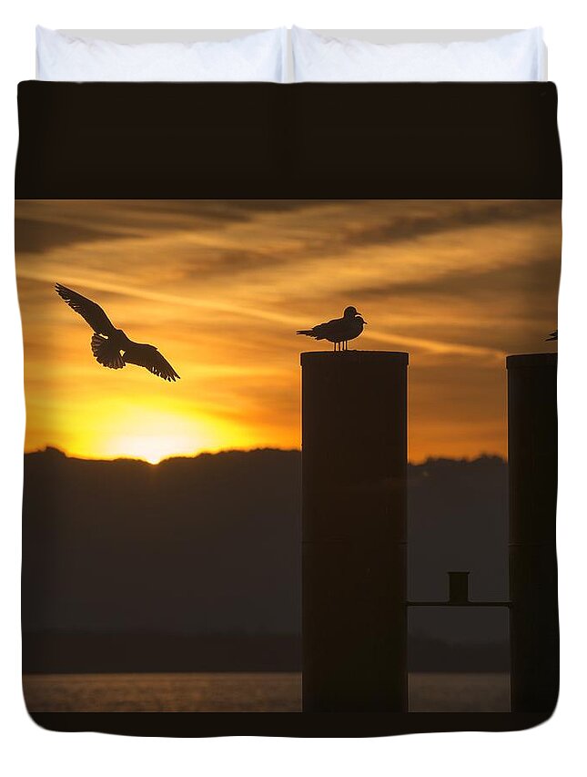 Seagull Duvet Cover featuring the photograph Seagull in the Sunset by Chevy Fleet